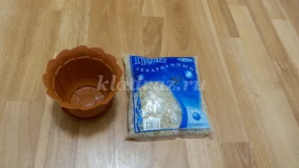 Топиарий «грошове дерево»