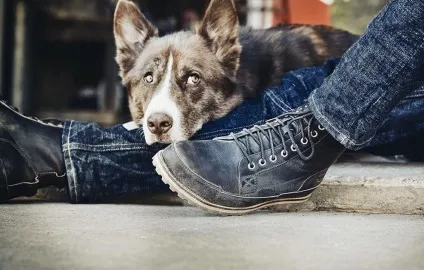 Timberland оригінал vs підробка - журнал про сasual моді (підробка) Timberland оригінал vs підробка - журнал про сasual моді