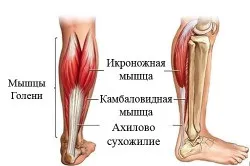 Травми ахіллового сухожилля симптоми і лікування (симптоми) Травми ахіллового сухожилля симптоми і лікування