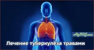 Трави від кашлю