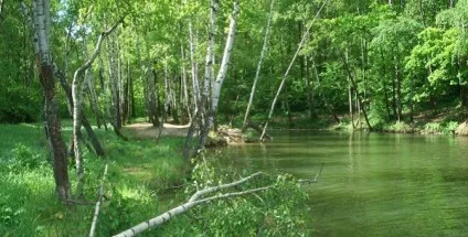 Тропаревському ставок фото, як дістатися, інфраструктура (москва) Тропаревському ставок фото, як дістатися, інфраструктура
