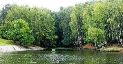 Тропаревському ставок фото, як дістатися, інфраструктура (Тропаревському ставок) Тропаревському ставок фото, як дістатися, інфраструктура