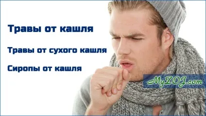Трави від кашлю