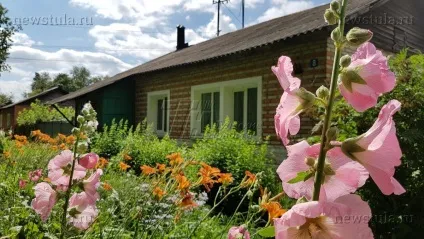 Трагедія в Донському чоловік застрелив кохану в упор регіон центр (чоловік) Трагедія в Донському чоловік застрелив кохану в упор регіон центр