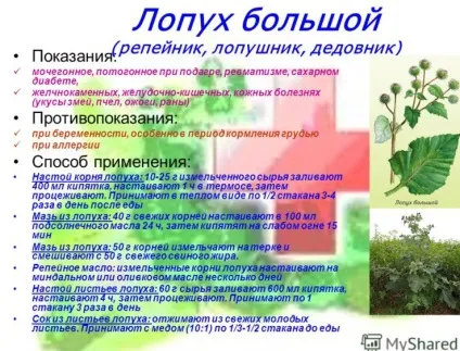 Траволікування при подагрі