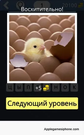 Вгадай що за клітинами! Відповіді, applegamesiphone (вгадай) Вгадай що за клітинами! Відповіді, applegamesiphone