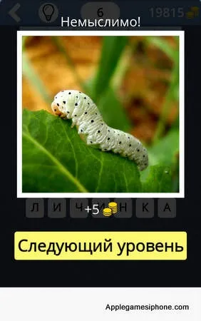 Вгадай що за клітинами! Відповіді, applegamesiphone (вгадай що за клітинами! Відповіді) Вгадай що за клітинами! Відповіді, applegamesiphone