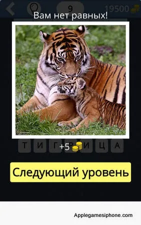 Вгадай що за клітинами! Відповіді, applegamesiphone (відповіді) Вгадай що за клітинами! Відповіді, applegamesiphone