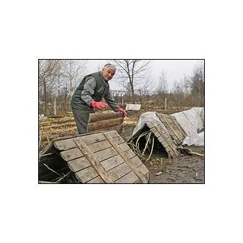 Укриття троянд на зиму (укриття) Укриття троянд на зиму