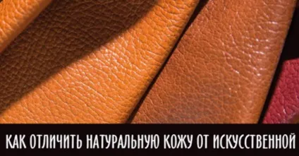 Вчимося відрізняти натуральну шкіру від штучної (шкіру) Вчимося відрізняти натуральну шкіру від штучної