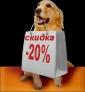 Послуги з дресирування собак, Київ та Київська область