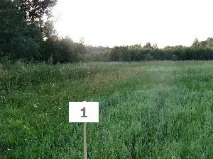 Умовний або старий кадастровий номер земельної ділянки що це таке (ділянки) Умовний або старий кадастровий номер земельної ділянки що це таке