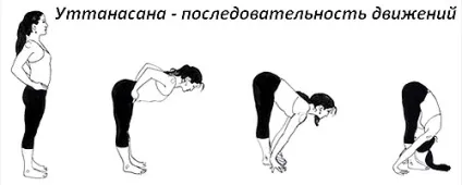 Вправи, що викликають місячні які ефективні фізичні заняття можна виконати (фізичні) Вправи, що викликають місячні які ефективні фізичні заняття можна виконати