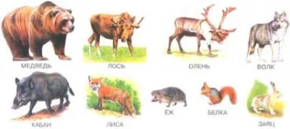 Урок-конспект по темі життя лісу (ліси) Урок-конспект по темі життя лісу