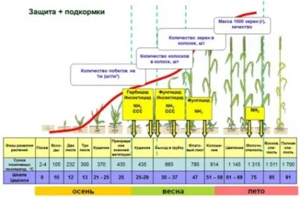 управляємо урожаєм