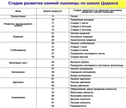управляємо урожаєм