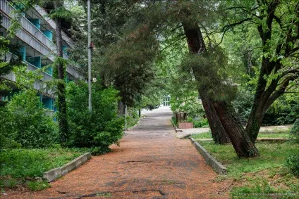 В Абхазії