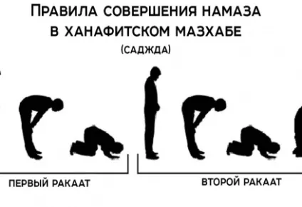 Повірити в аллаха - значить не робити різниці між пророками (відмінностей) Повірити в аллаха - значить не робити різниці між пророками