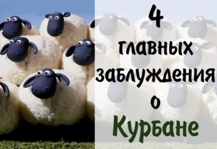 Повірити в аллаха - значить не робити різниці між пророками (відмінностей) Повірити в аллаха - значить не робити різниці між пророками