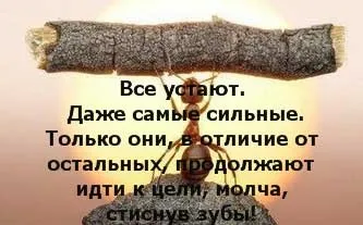 Надихаючі мотивуючі цитати від великих шанованих людей, блог інвестора (мотивуючі картинки з цитатами) Надихаючі мотивуючі цитати від великих шанованих людей, блог інвестора