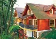 Вибираємо фарбу для дерев'яного будинку (деревину цвілі синяви) Вибираємо фарбу для дерев'яного будинку