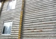 Вибираємо фарбу для дерев'яного будинку (деревину цвілі синяви) Вибираємо фарбу для дерев'яного будинку