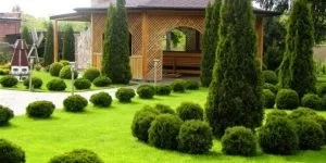 Види ортопедичних матраців