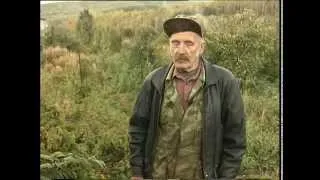 Аралія маньчжурська (аралія висока) посадка і догляд, фото, застосування (висока) Аралія маньчжурська (аралія висока) посадка і догляд, фото, застосування