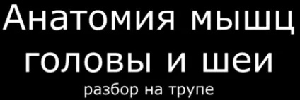 Анатомія мімічні м'язи або м'язи обличчя (кола) Анатомія мімічні м'язи або м'язи обличчя