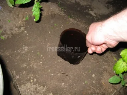 Альтернативний спосіб поливу теплиці - саморобки для дачі - парники і теплиці (рослинами) Альтернативний спосіб поливу теплиці - саморобки для дачі - парники і теплиці