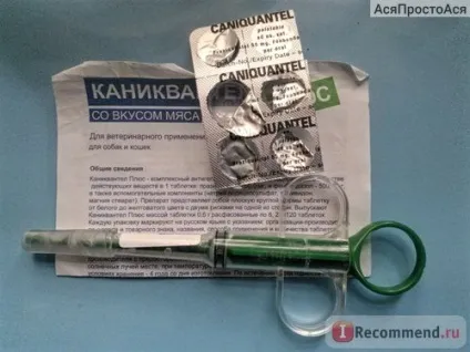 Антигельмінтики euracon pharma каніквантел плюс (caniquantel plus) - «у вашої кішки токсокароз