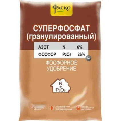 Амариліс догляд в домашніх умовах, що робити якщо не цвіте (робити) Амариліс догляд в домашніх умовах, що робити якщо не цвіте