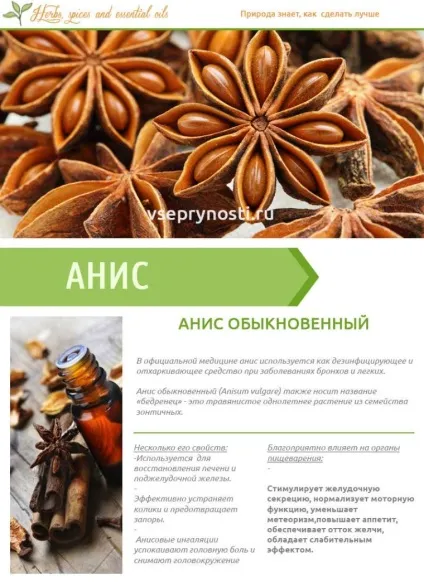 Аніс звичайний - корисні властивості для нашого здоров'я (властивості) Аніс звичайний - корисні властивості для нашого здоров'я