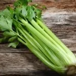 Вирощування селери з насіння в домашніх умовах (вирощування) Вирощування селери з насіння в домашніх умовах