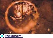 Вплив звуків і музики на структуру води - чиста магія води (музики) Вплив звуків і музики на структуру води - чиста магія води