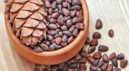 У яких продуктах міститься цинк, його надлишок і недолік (міститься) У яких продуктах міститься цинк, його надлишок і недолік