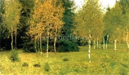 Позакласний захід для школярів 5 класу (класу) Позакласний захід для школярів 5 класу