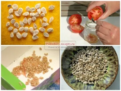 Вирощування розсади помідорів фото і корисні поради