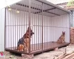 Вольєри для жа вольєрів для овлення вольєрів для вої ь вольєр для собаки (установка вольєра для собаки) Вольєри для жа вольєрів для овлення вольєрів для вої ь вольєр для собаки