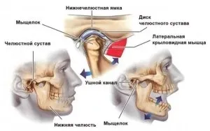 Запалення щелепного суглоба симптоми, лікування, до якого лікаря звернутися (лікування) Запалення щелепного суглоба симптоми, лікування, до якого лікаря звернутися