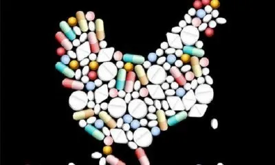 Лікарі провели чотири операції по пересадки матки від живих донорів - ріа ами (ами-тарс) (провели) Лікарі провели чотири операції по пересадки матки від живих донорів - ріа ами (ами-тарс)