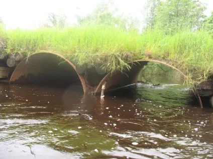 Водний похід по річці поля (річці) Водний похід по річці поля