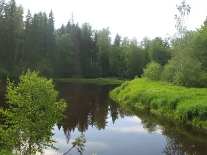Водний похід по річці поля (річці) Водний похід по річці поля