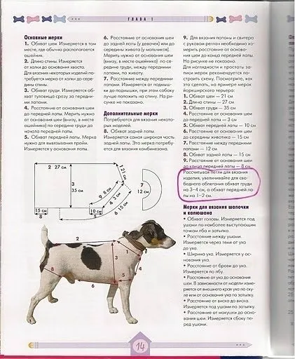 Вяжем для собак своїми руками