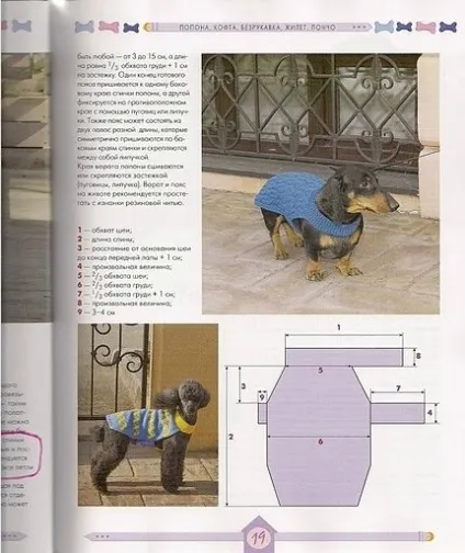 Вяжем для собак своїми руками