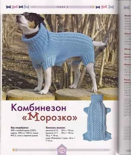 Вяжем для собак своїми руками