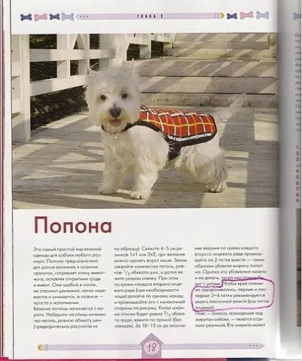 Вяжем для собак своїми руками