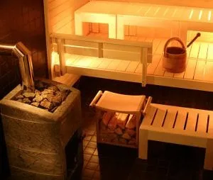 Гарна піч в баню типи і критерії вибору, переваги і недоліки, яку піч поставити і які (піч лазня хороший поставляти вибирати) Гарна піч в баню типи і критерії вибору, переваги і недоліки, яку піч поставити і які