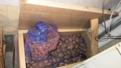Зберігання картоплі на балконі взимку