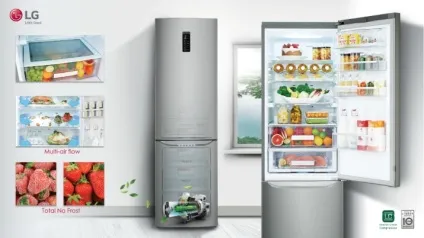 Холодильник lg total no frost двокамерні моделі з функцією smart diagnosis, відгуки (двокамерні) Холодильник lg total no frost двокамерні моделі з функцією smart diagnosis, відгуки